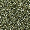 MIYUKI Delica Beads SEED-X0054-DB2163-3