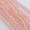 Bicone Glass Beads Strands EGLA-P016-3mm-10-1