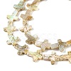Drawbench Style Natural Freshwater Shell Beads Strands BSHE-G036-01-3