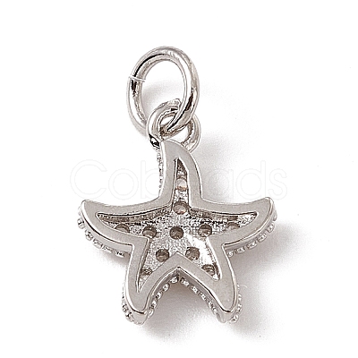 Brass Micro Pave Cubic Zirconia Charms ZIRC-F132-13P-1