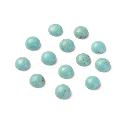 Natural Howlite Cabochons TURQ-L031-033C-03-1