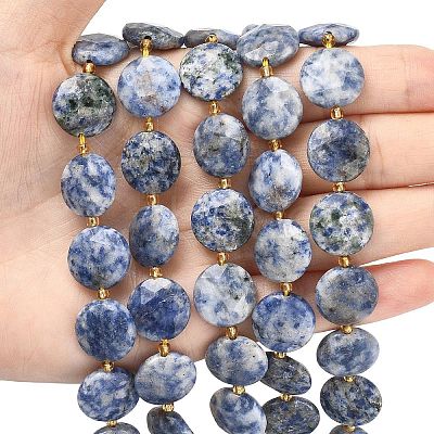 Natural Blue Spot Jasper Beads Strands G-A292-A10-01-1
