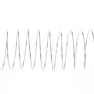 Steel Memory Wire TWIR-ZX005-1.0mm-P-NF-1