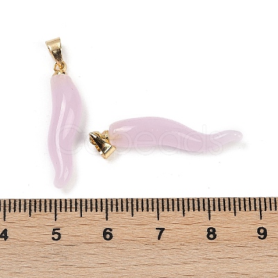 Handmade Lampwork with Brass Pendants KK-Q095-02B-08-1