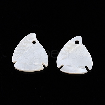 Natural Freshwater Shell Charms SHEL-N026-202-1