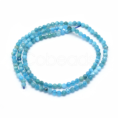 Natural Apatite Beads Strands G-E411-36-2mm-01-1