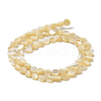 Natural Trochus Shell Beads Strands BSHE-P033-02-1