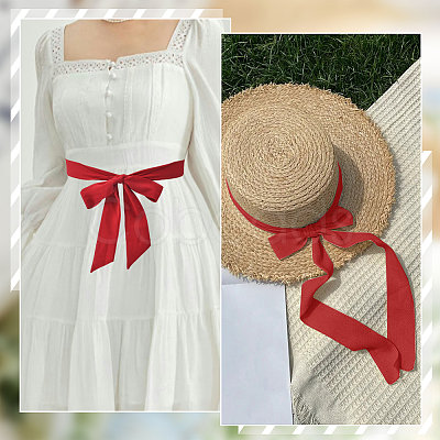 2Pcs Chiffon Ties for Women AJEW-SP0003-52B-1