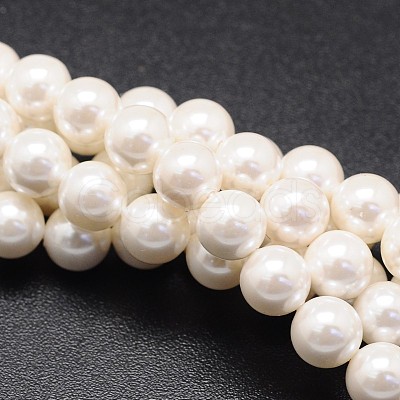 Shell Pearl Beads Strands X-BSHE-E008-14mm-12-1