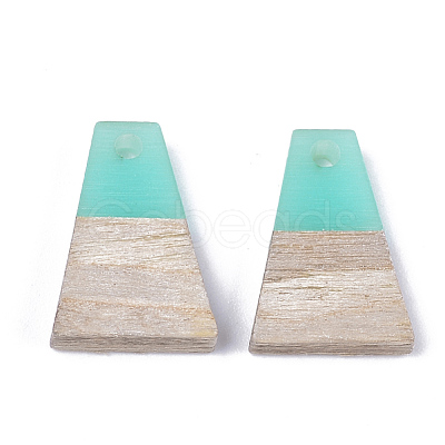 Resin & Wood Pendants RESI-S358-52M-1