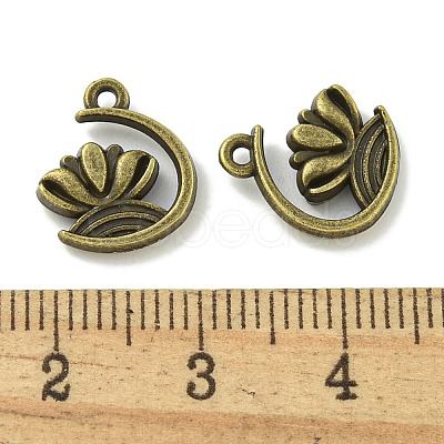 Tibetan Style Alloy Pendants TIBE-I026-6025AB-1