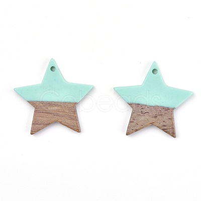 Resin & Wood Pendants X-RESI-T023-23C-1