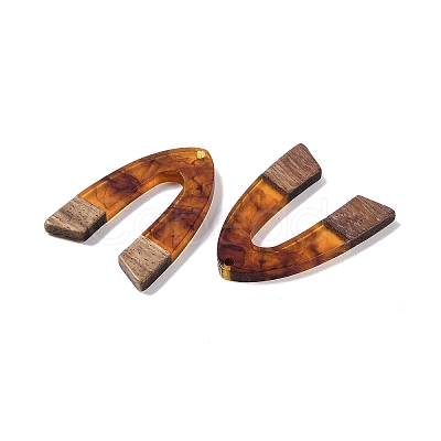 Resin & Wood Pendants WOOD-F015-16C-1