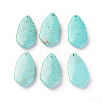 Natural Howlite Pendants TURQ-L031-029-1