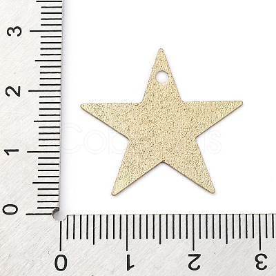 Geometric Alloy Sheet Printed Pendant Earrings Accessories LS-PALLOY-E139-01G-02-1