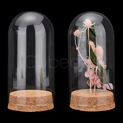 Glass Dome Cover AJEW-PH0004-19B-1