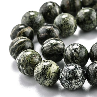 Natural Green Zebra Jasper Beads Strands G-L574-05C-1