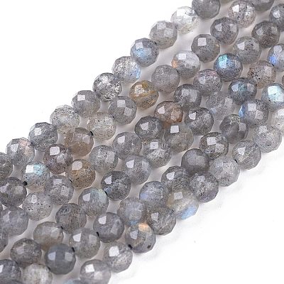 Natural Labradorite Beads Strands X-G-R475-025C-1