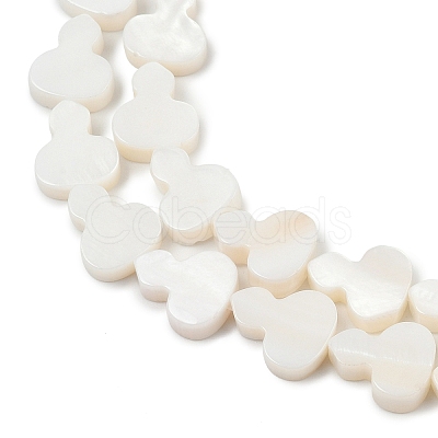 Natural Freshwater Shell Beads Strands SHEL-K010-02B-1