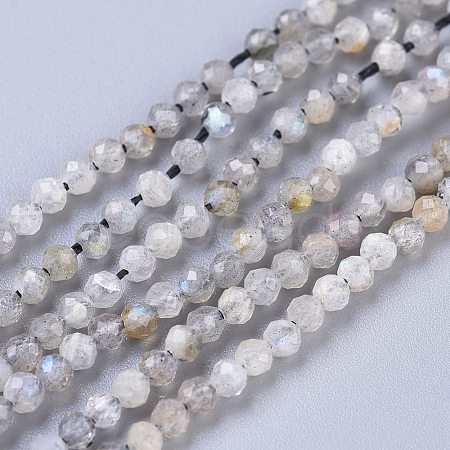 Natural Labradorite Beads Strands X-G-R475-025A-1