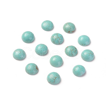Natural Howlite Cabochons TURQ-L031-033C-03-1
