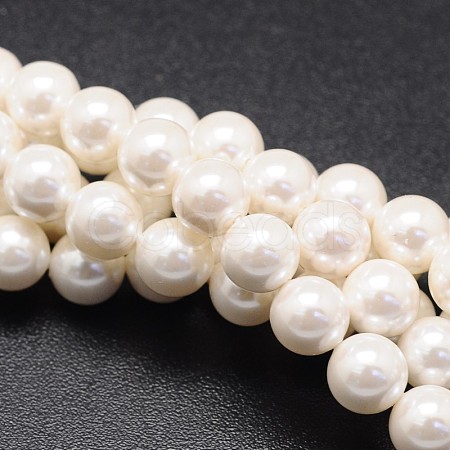 Shell Pearl Beads Strands X-BSHE-E008-14mm-12-1