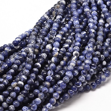 Natural Sodalite Round Bead Strands G-P072-27-4mm-1