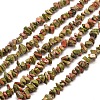 Natural Unakite Chip Bead Strands X-G-M205-52-1