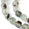 Natural Green Lodolite Quartz/Garden Quartz Beads Strands G-Q010-A18-01-4