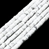 Natural Howlite Beads Strands G-K245-C03-02-1