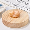 Natural Orange Calcite Display Decorations DJEW-PW0009-009T-1
