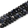 Natural Sapphire Beads Strands G-P553-G07-02-2