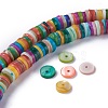Natural Freshwater Shell Beads Strands BSHE-I016-04F-4