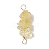 10Pcs 5 Styles Constellation Natural Garnet & Rose Quartz & Tiger Eye & Amethyst & Strawberry Quartz Copper Wire Wrapped Chip Beaded Connector Charms PALLOY-JF02905-11-3