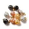 Natural Mixed Shell Dyed Round Charms SSHEL-H071-01G-1