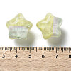 Gradient Color Transparent Hand-drawed Acrylic Beads TACR-P012-01B-13-3