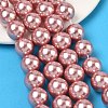 Electroplated Shell Pearl Beads Strands BSHE-G041-14mm-05-5