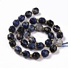 Natural Sodalite Beads Strands with Seed Beads G-G990-E01-3