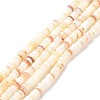 Shell Beads Strands SSHEL-E571-49I-3