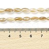 Natural Freshwater Shell Beads Strands BSHE-G036-03-4