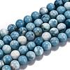 Natural Gemstone Beads Strands G-L367-01-10mm-4