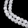 Natural Selenite Beads Strands G-F805-01-4