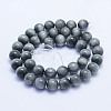 Natural Hawk's Eye Beads Strands G-L478-03-10mm-3