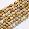 Natural Fossil Coral Beads Strands G-G697-F01-6mm-1