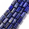 Natural Lapis Lazuli Beads Strands G-S345-8x11-002-1