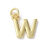 Rack Plating Brass Charms KK-P245-06G-W-1