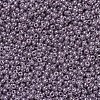 MIYUKI Round Rocailles Beads X-SEED-G007-RR0437-3