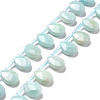 Natural Amazonite Beads Strands G-I246-11-2