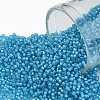 TOHO Round Seed Beads X-SEED-TR15-0931-1