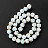 Handmade Lampwork Beads Strands LAMP-D015-11C-4